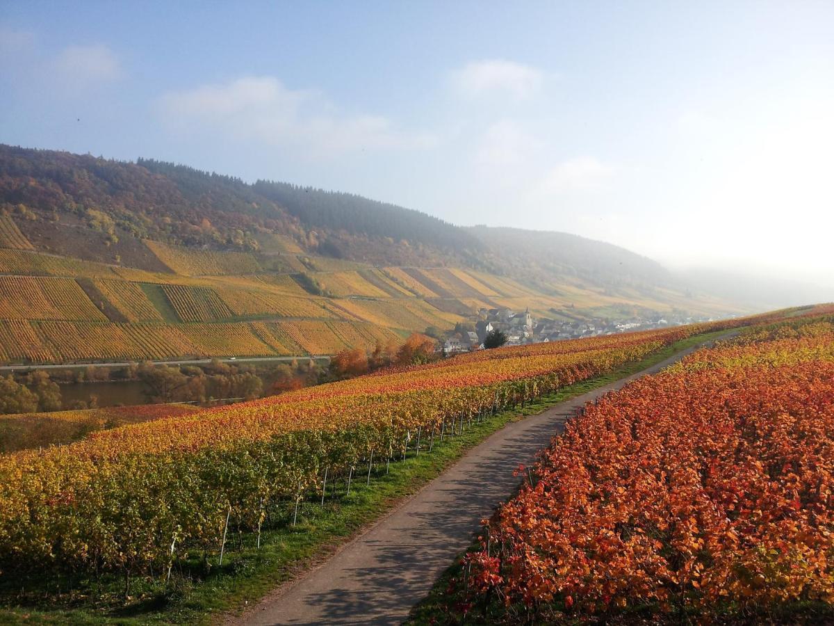 Weingut-Brennerei-Gaestehaus Emil Dauns Reil Dış mekan fotoğraf