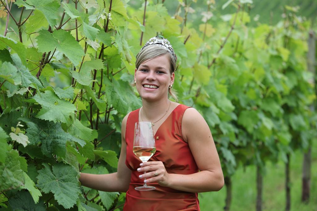 Weingut-Brennerei-Gaestehaus Emil Dauns Reil Dış mekan fotoğraf