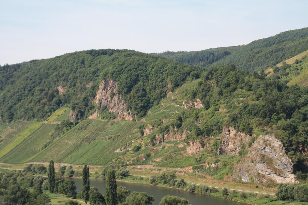 Weingut-Brennerei-Gaestehaus Emil Dauns Reil Dış mekan fotoğraf