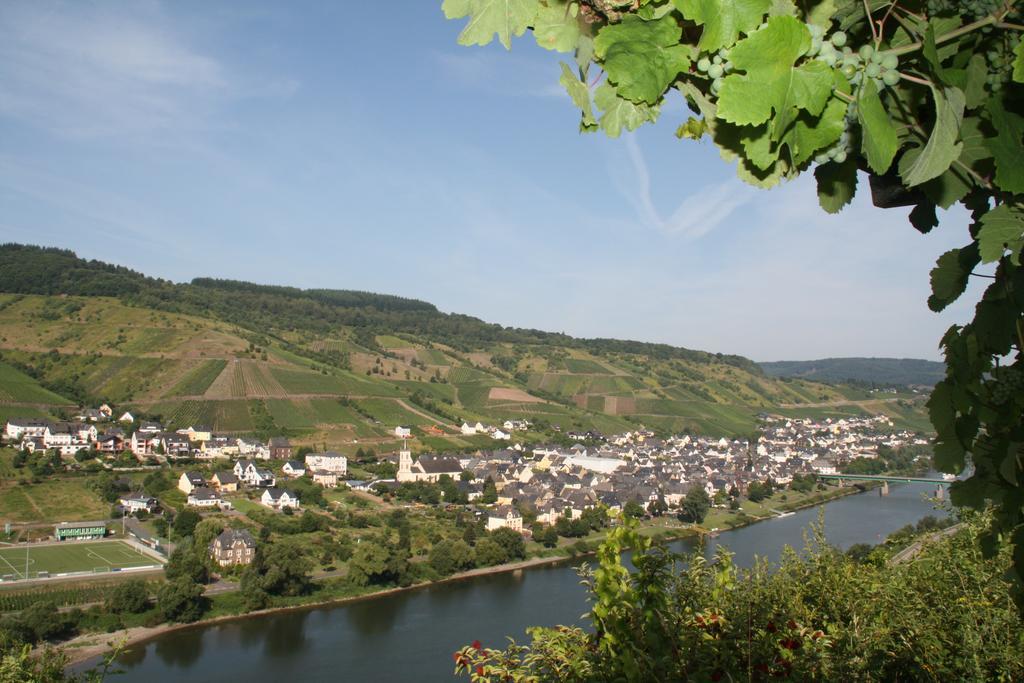 Weingut-Brennerei-Gaestehaus Emil Dauns Reil Dış mekan fotoğraf