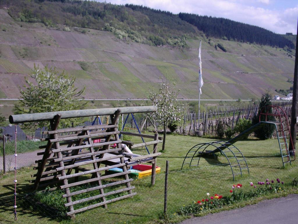 Weingut-Brennerei-Gaestehaus Emil Dauns Reil Dış mekan fotoğraf