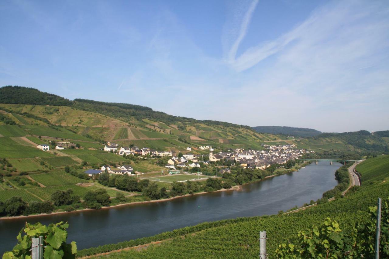 Weingut-Brennerei-Gaestehaus Emil Dauns Reil Dış mekan fotoğraf