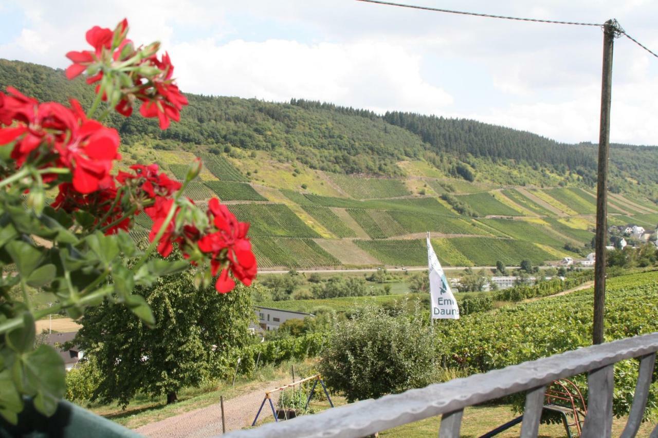 Weingut-Brennerei-Gaestehaus Emil Dauns Reil Dış mekan fotoğraf