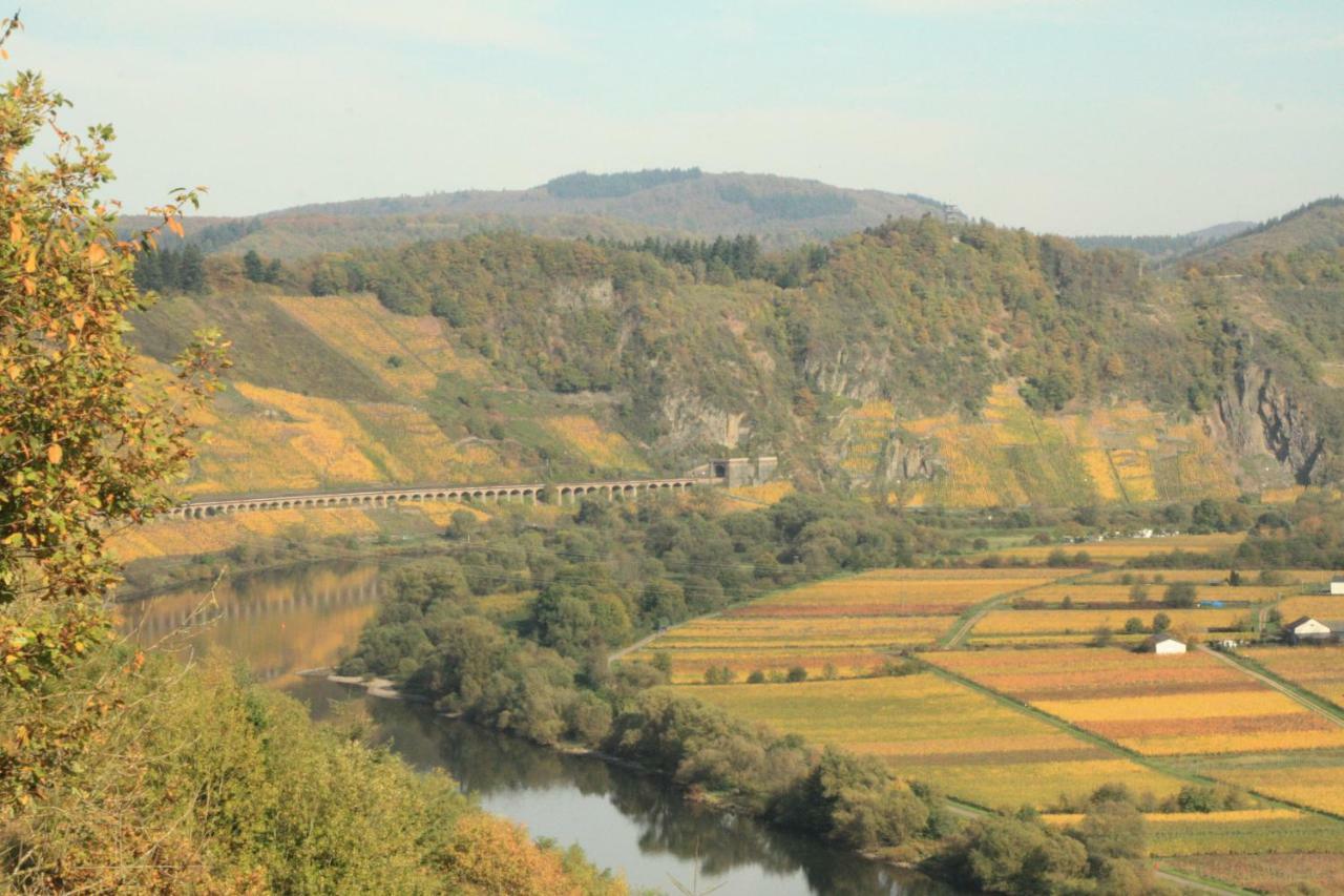 Weingut-Brennerei-Gaestehaus Emil Dauns Reil Dış mekan fotoğraf